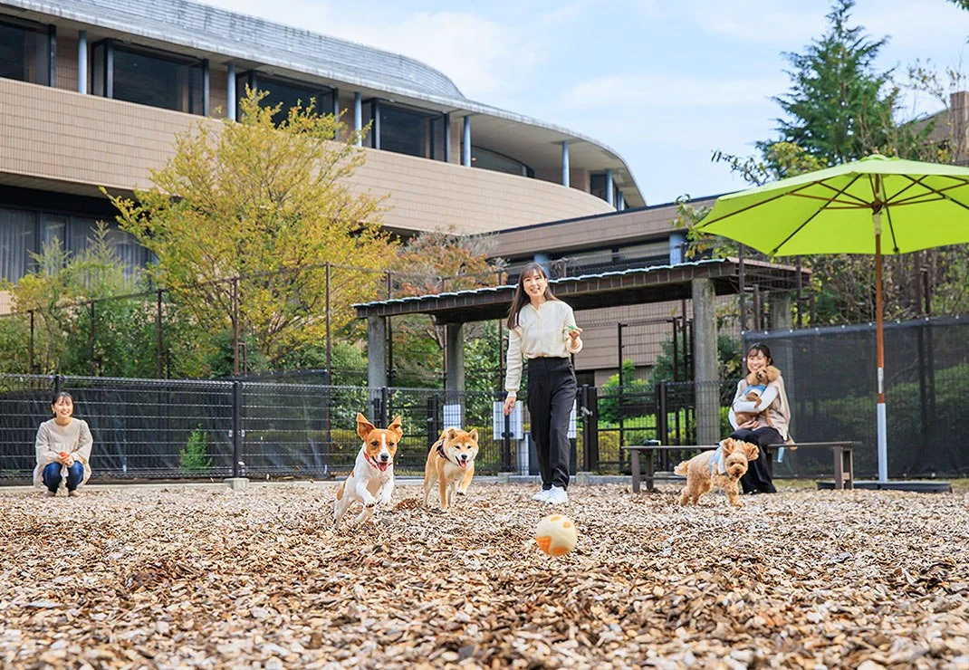 コレドール湯河原 Dog&Resort:愛犬と一緒に快適な休日を過ごせる全てリードのままで移動OKの館内