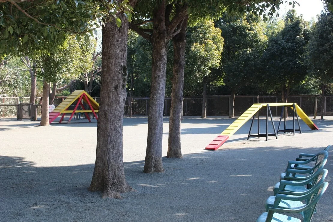 ドッグフォレスト湘南(木村植物園):写真:ドッグラン01