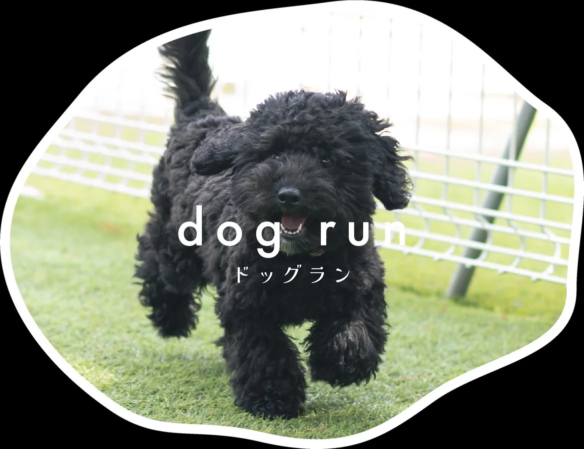 アーセンプレイス子安の里:ドッグラン
