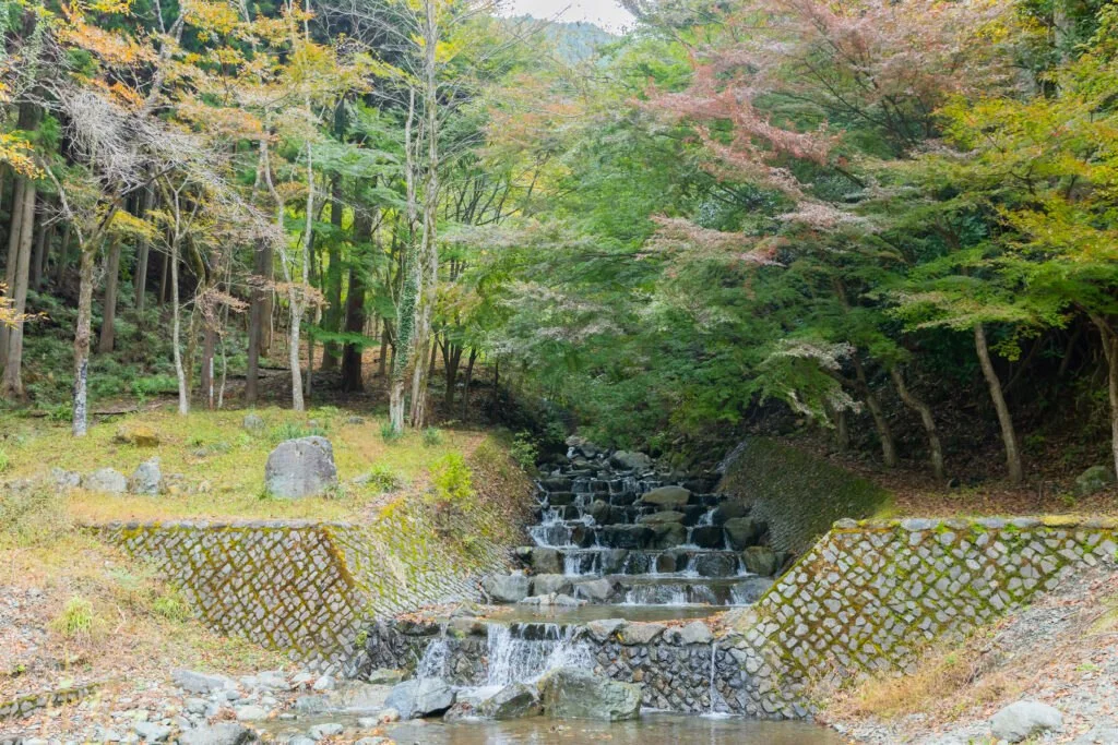 秦野市表丹沢野外活動センター(YAMAMO FIELD):公式サイト掲載写真