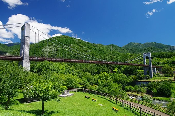 神奈川県立秦野戸川公園:公式サイト掲載写真