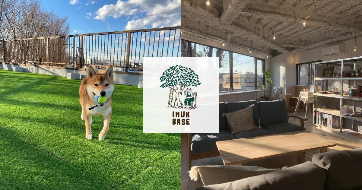 INUK BASE 屋上ドッグラン:公式サイト掲載写真