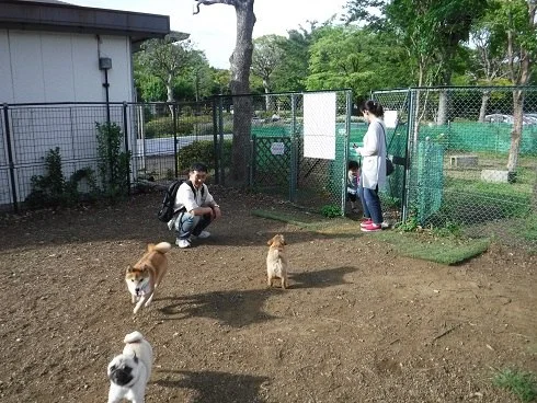 入船公園ドッグラン:公式サイト掲載写真