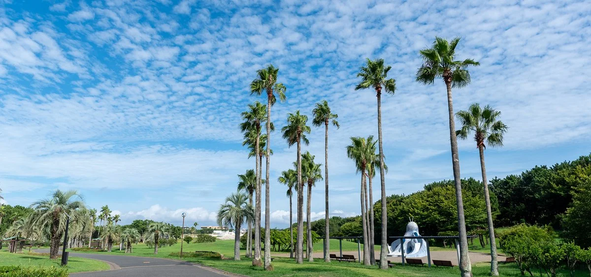 辻堂海浜公園:公式サイト掲載写真