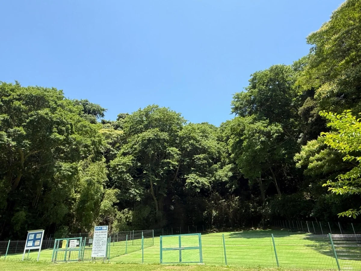 南郷上ノ山公園ドッグヤード:南郷上ノ山公園・ドッグヤードの写真