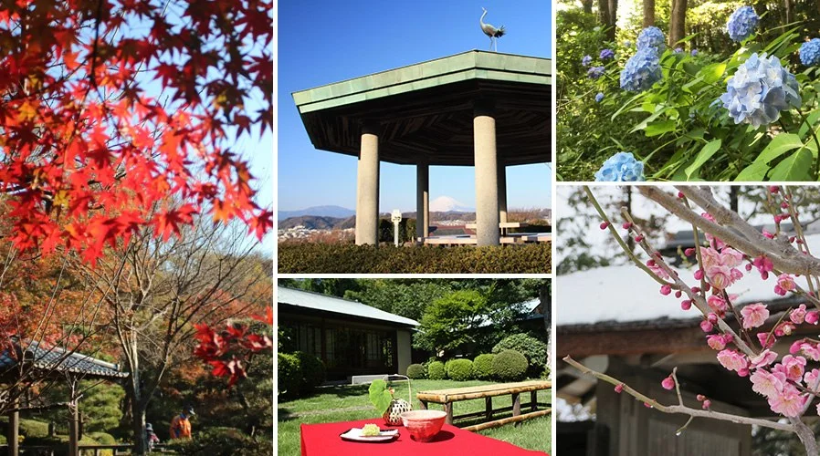 神奈川県立大磯城山公園:公式サイト掲載写真