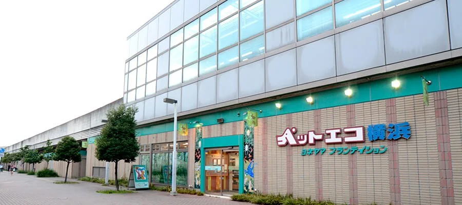 ペットエコ 都筑店:ペットエコ 都筑店