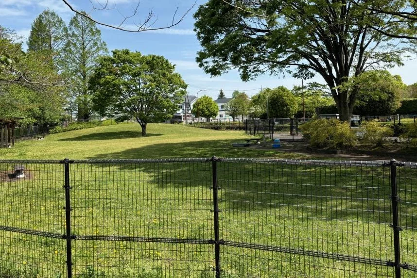 県立相模原公園ドッグラン:ドッグランの様子
