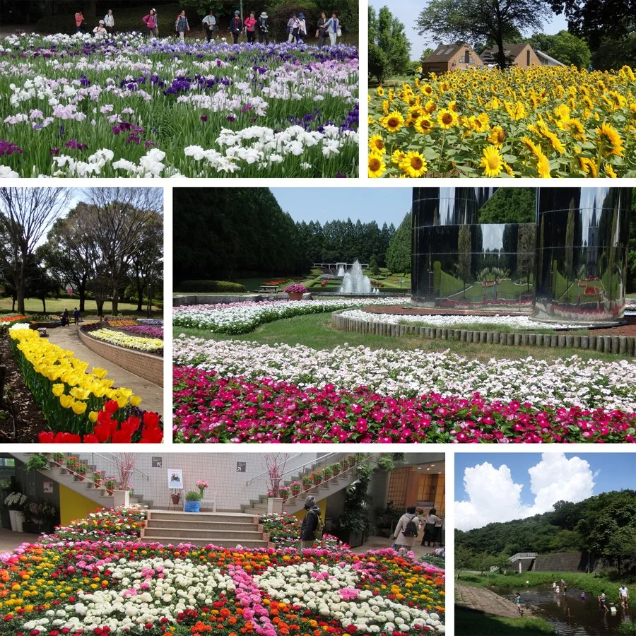神奈川県立相模原公園:公式サイト掲載写真