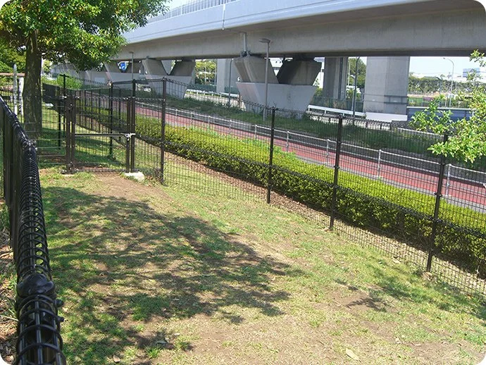 新杉田公園ドッグラン:ドッグランの写真