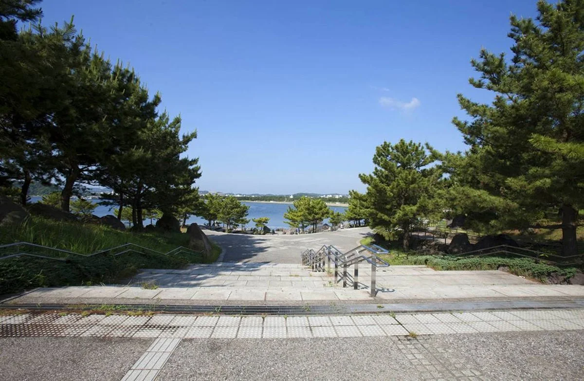 海の公園 犬の遊び場:海の公園の公園画像