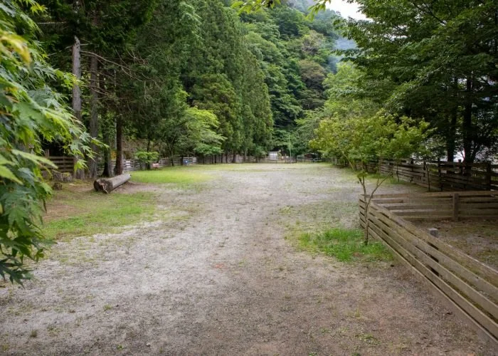ウェルキャンプ西丹沢:公式サイト掲載写真