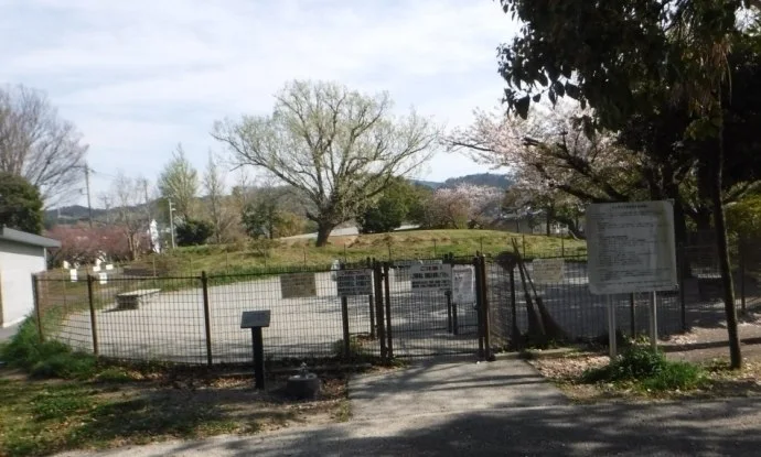 第一運動公園 犬の広場:写真:ドッグラン(正面)