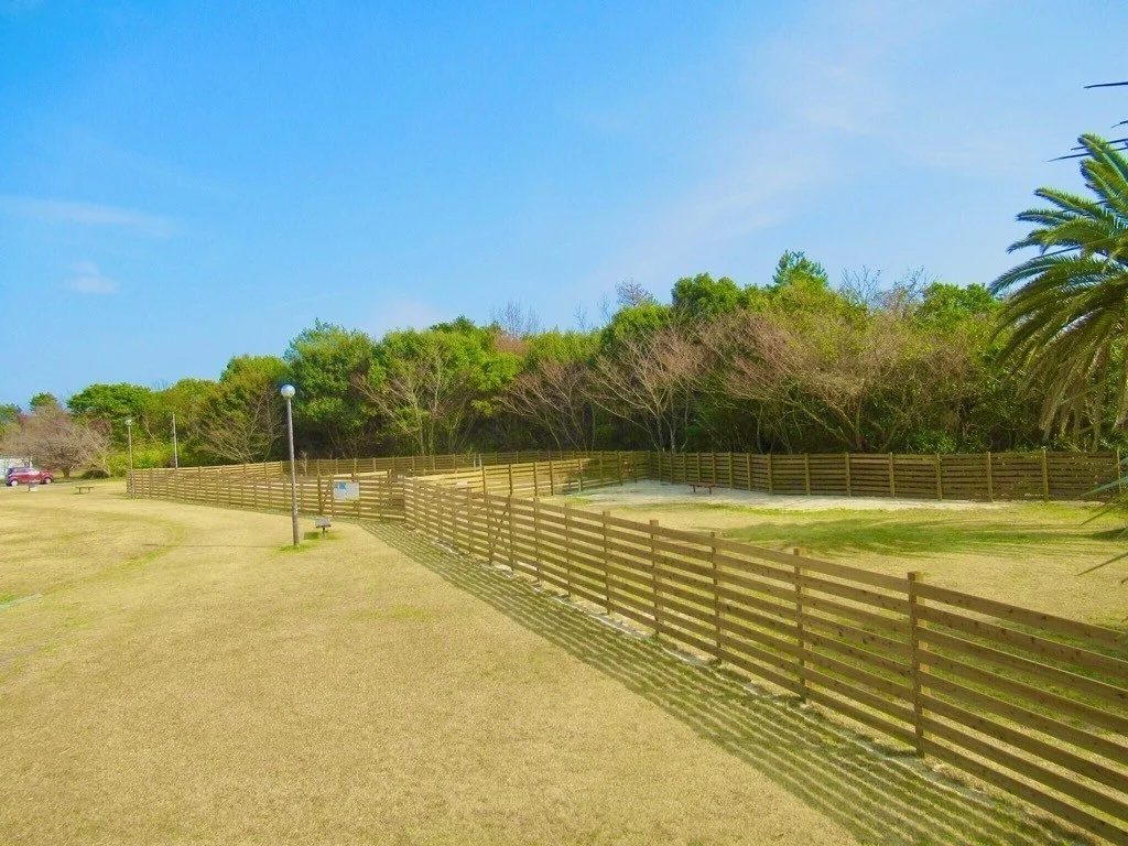 土佐清水総合公園ドッグラン:公式サイト掲載写真
