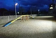 ペットと泊まれる旅館 弁天館:夜でも明るいドッグラン!