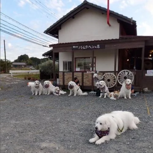 バームクーヘンcafe HA・RU:犬とカフェ外観