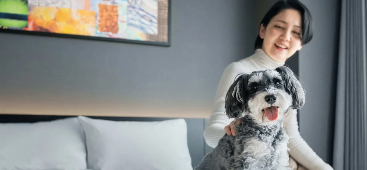 hotel anddoggy 京都二条:イメージ1