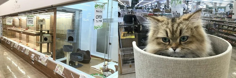 カインズ 四日市店 ドッグラン:公式サイト掲載写真