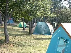 ダイセーフォレストパーク(鈴鹿青少年の森):キャンプ場