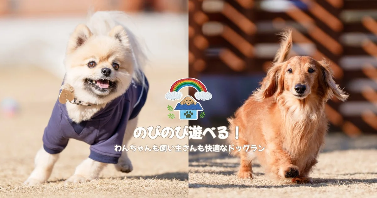 ドッグランぶぶんち:公式サイト掲載写真
