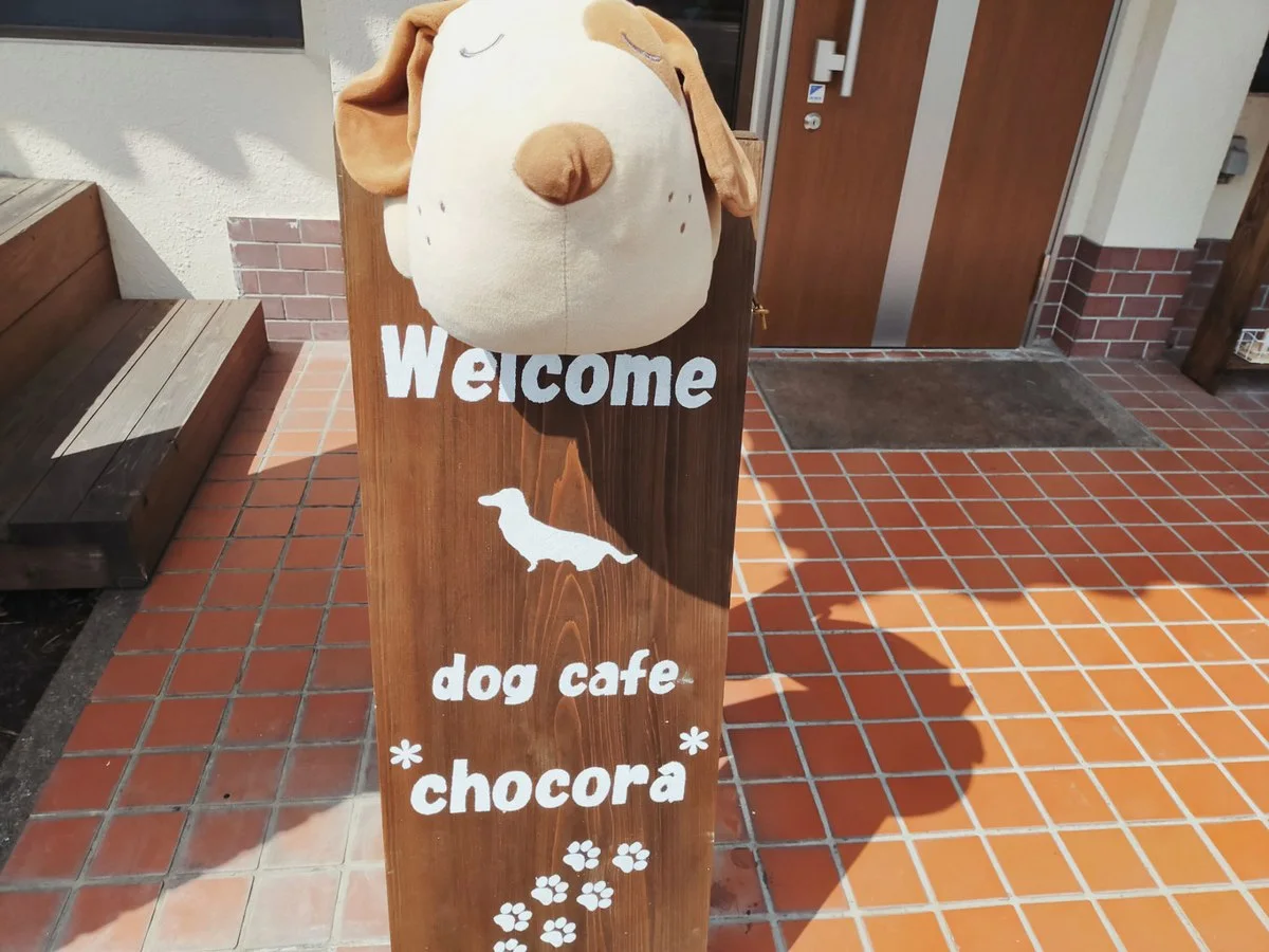 ドッグカフェ チョコラ(cafe chocora):公式サイト掲載写真