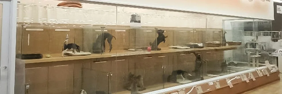 カインズ 上田店 ドッグラン:公式サイト掲載写真