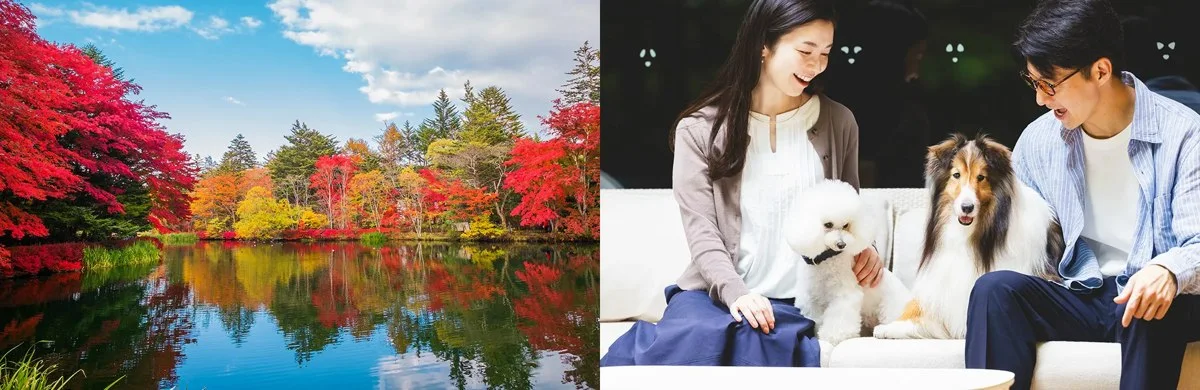 レジーナリゾート旧軽井沢:豊かな自然の中で愛犬と過ごす至福のひととき