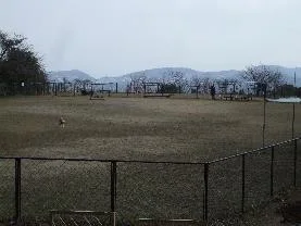 稲佐山公園ドッグラン：ドッグラン