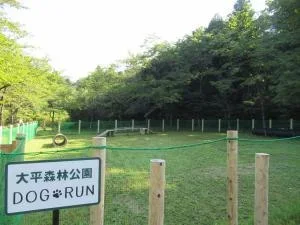 大平森林公園ドッグラン:大平森林公園ドッグラン