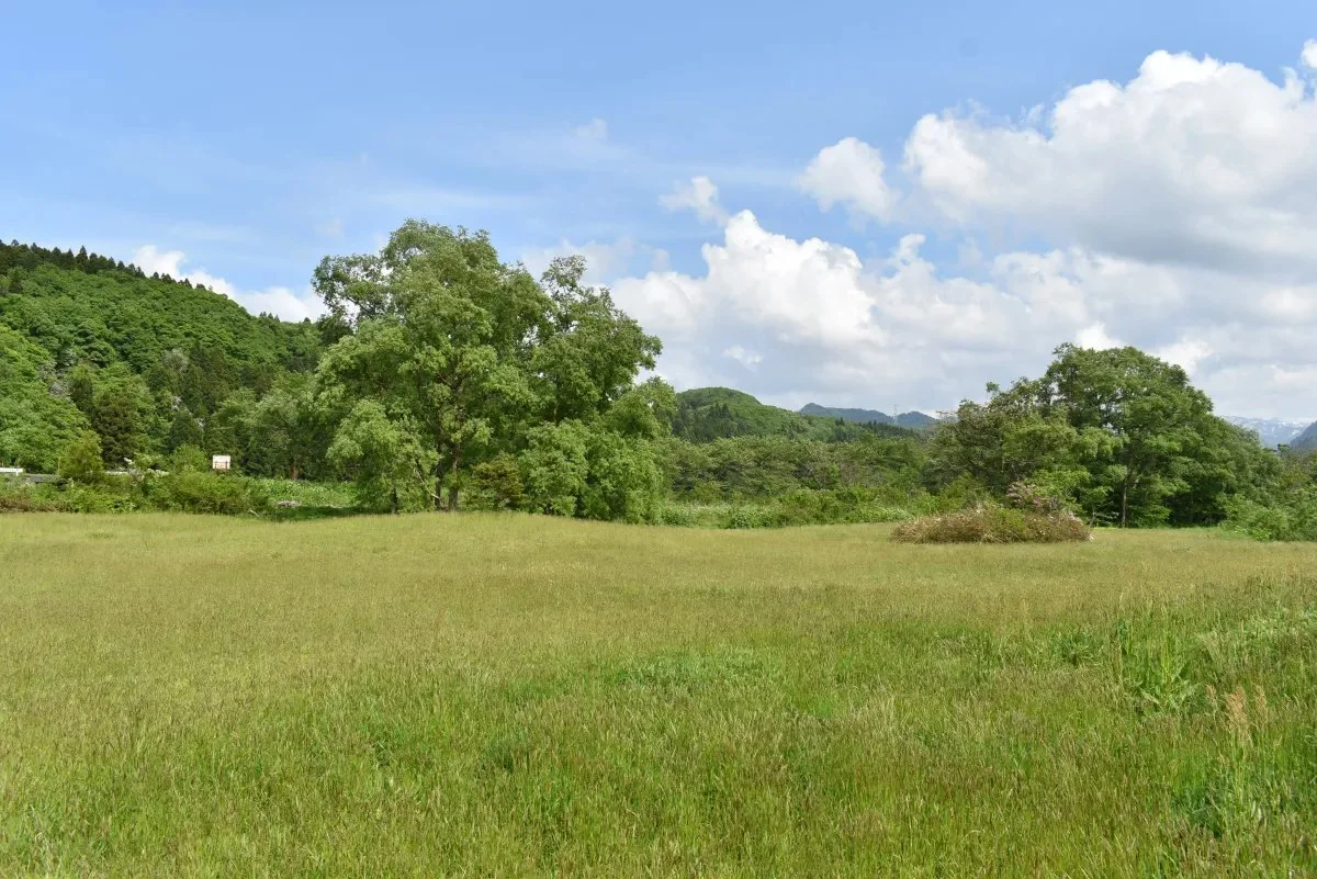 夏井河川公園キャンプ場:公式サイト掲載写真