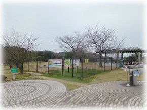 鴻ノ池SA(下り)ドッグラン:公式サイト掲載写真