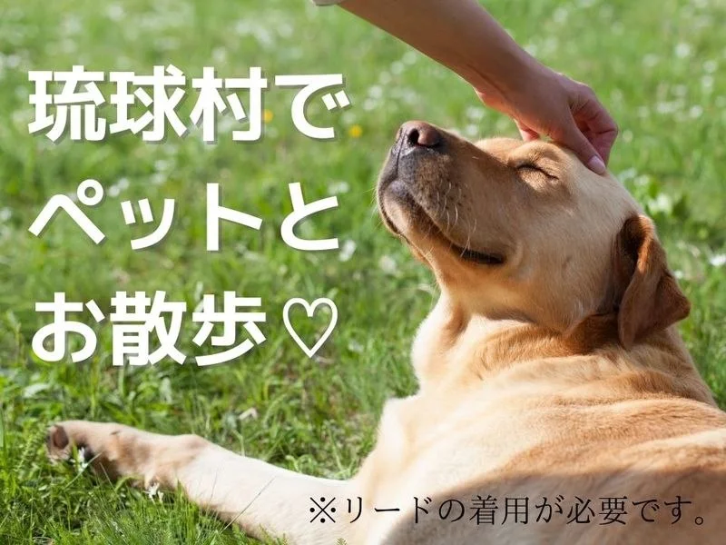 琉球村:公式サイト掲載写真