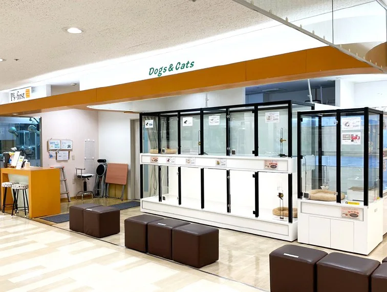 ペッツファースト 高槻店：公式サイト掲載写真