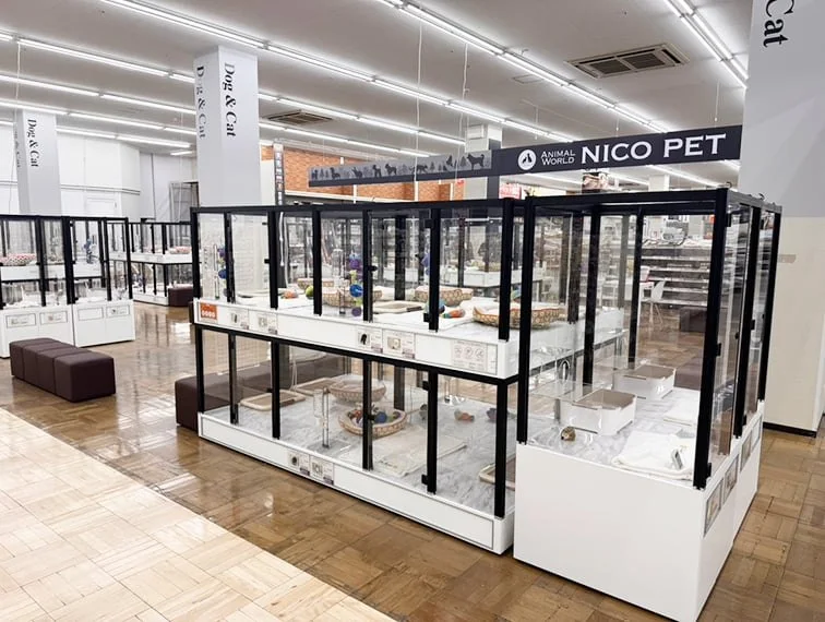 ペッツファースト 東大阪店：公式サイト掲載写真