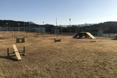 メルヘン村 ドッグパーク：ドッグラン