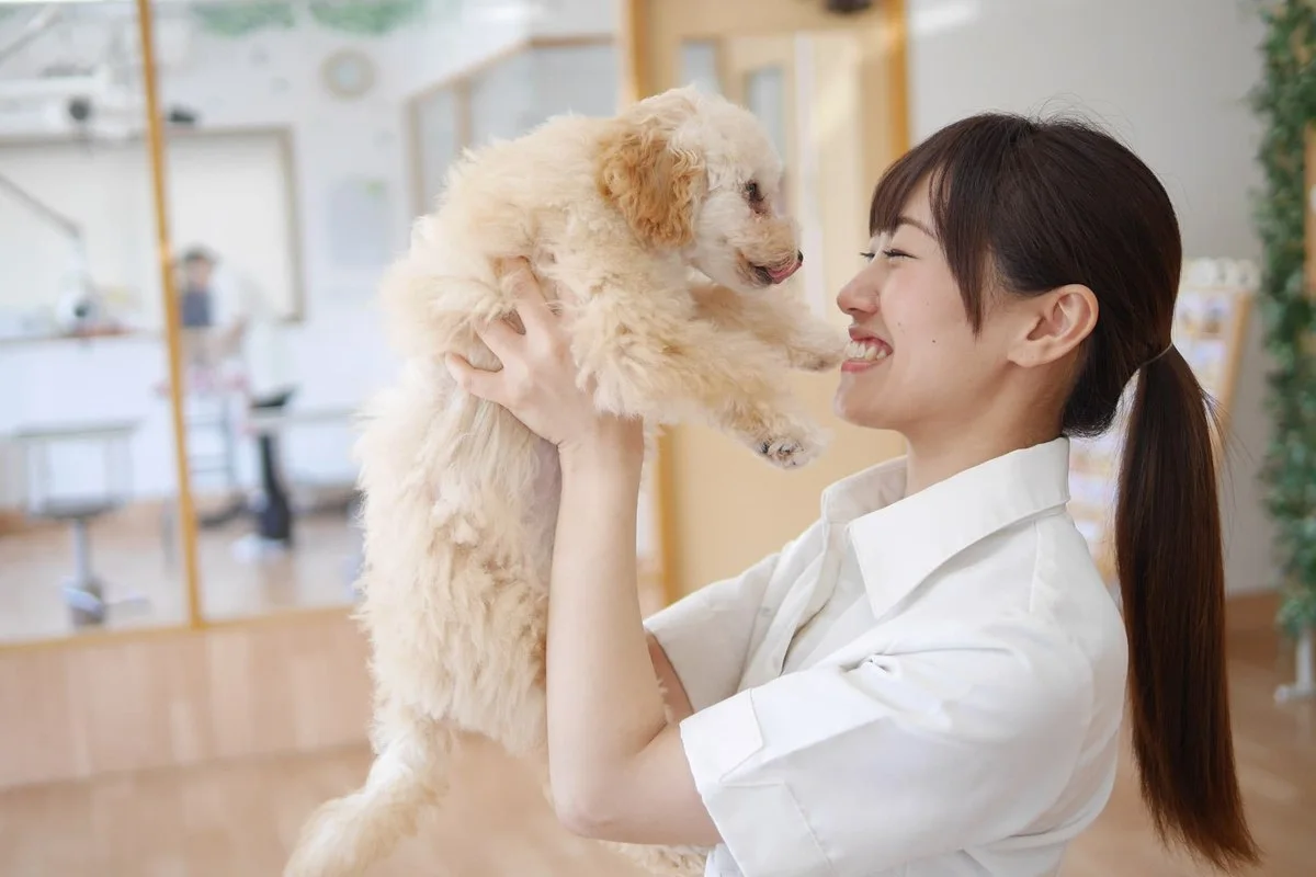 トリミングサロン アラモード 川口店:公式サイト掲載写真