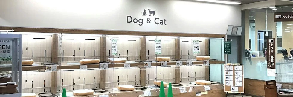 カインズ 大宮店 ドッグラン:公式サイト掲載写真