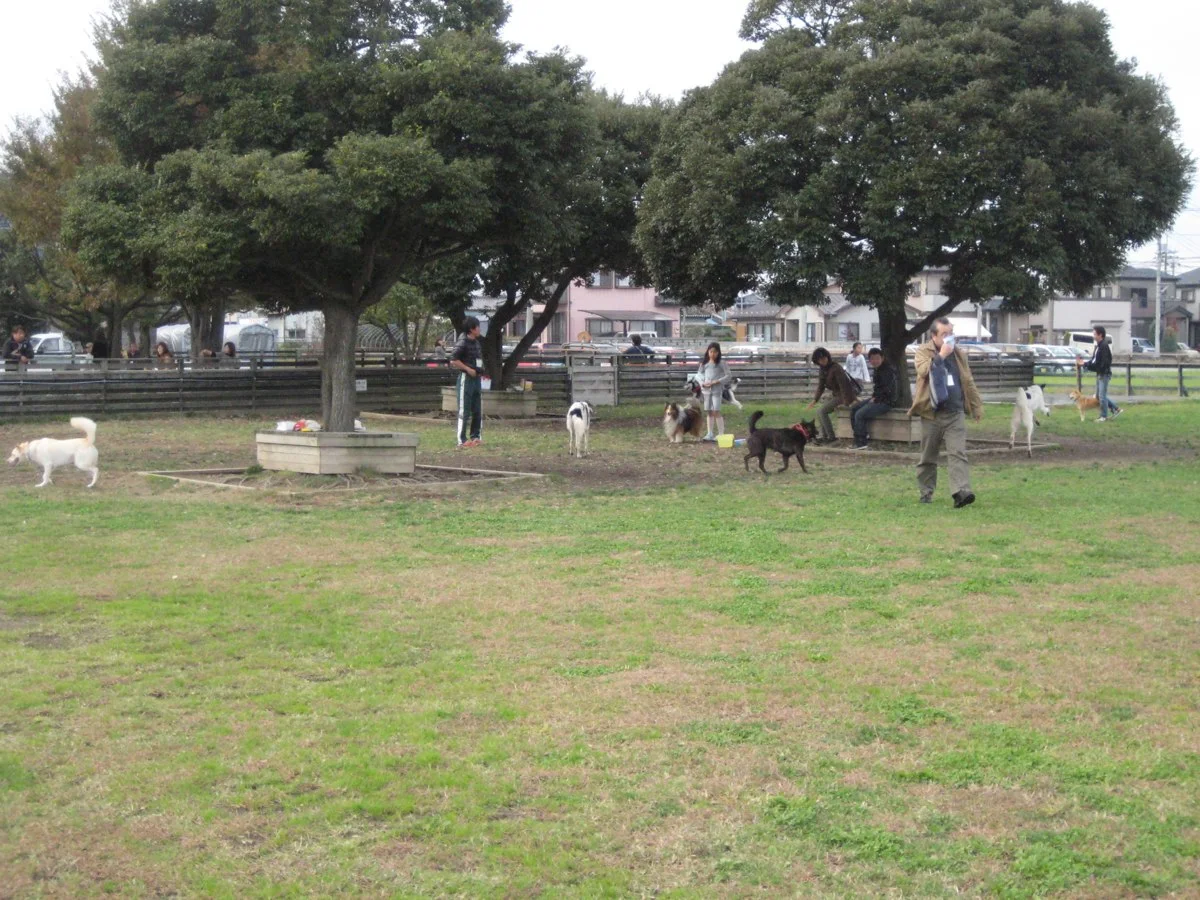 ドッグパーク幸手:公式サイト掲載写真