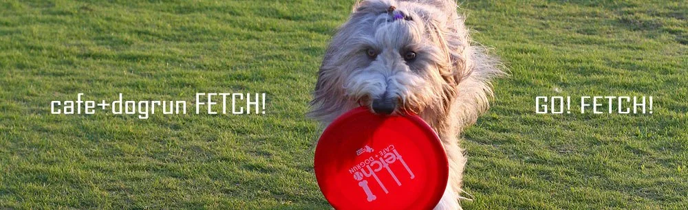 cafe+dogrun FETCH!(フェッチ):公式サイト掲載写真