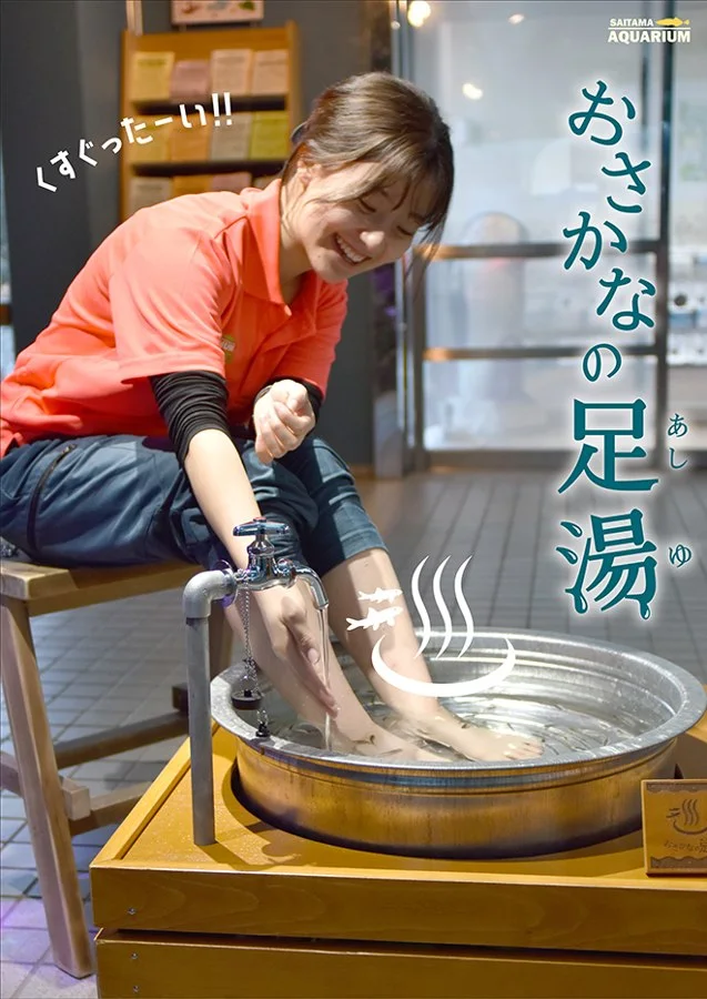 羽生水郷公園:公式サイト掲載写真