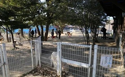 穂高ドッグラン&カフェN36°:穂高ドッグラン