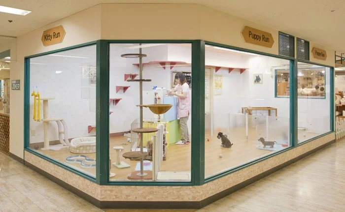 DOG&CAT JOKER そごう大宮店:公式サイト掲載写真