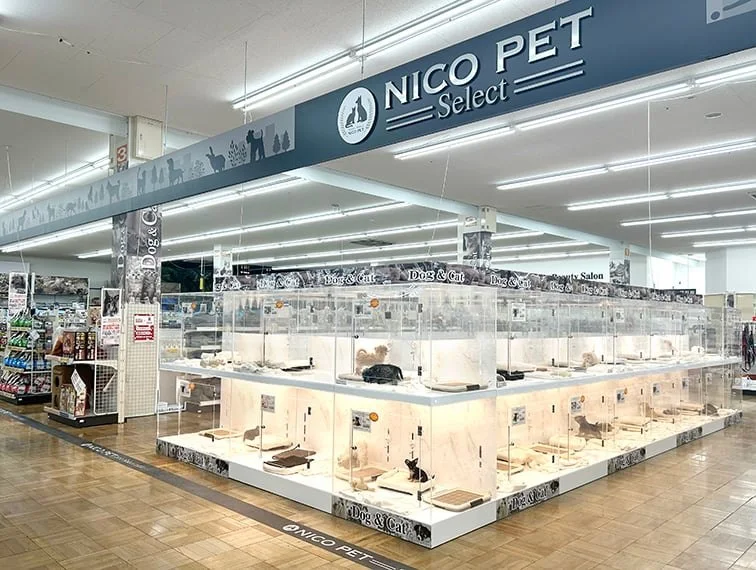 ペッツファースト 岩槻店:公式サイト掲載写真