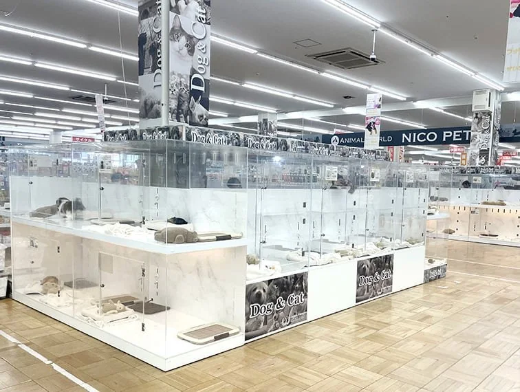 ペッツファースト 春日部店:公式サイト掲載写真