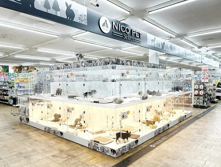 ペッツファースト 上尾店:公式サイト掲載写真