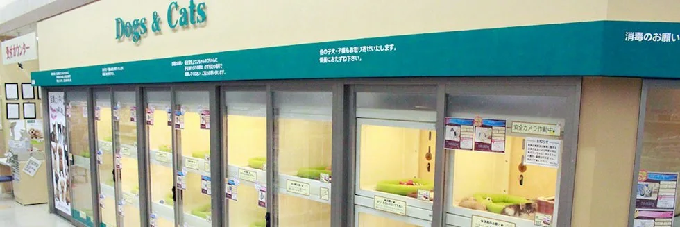 カインズ 彦根店 ドッグラン：公式サイト掲載写真