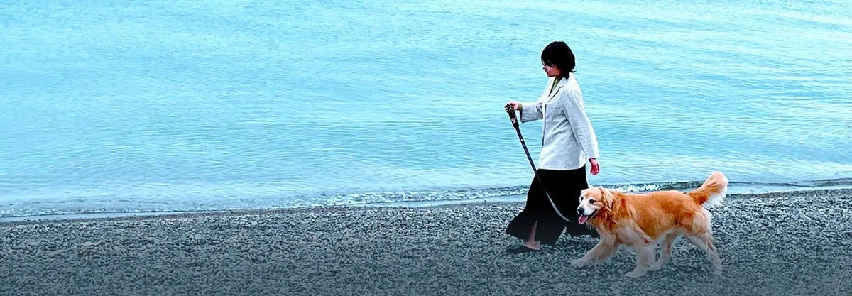レジーナリゾートびわ湖長浜：夕陽と温泉を好アクセスで堪能