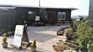 udon dining cafe 安菜蔵:公式サイト掲載写真