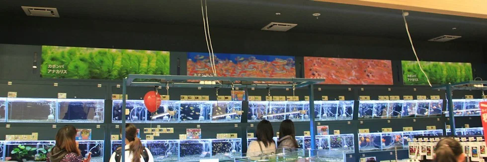 カインズ 藤枝店 ドッグラン:公式サイト掲載写真