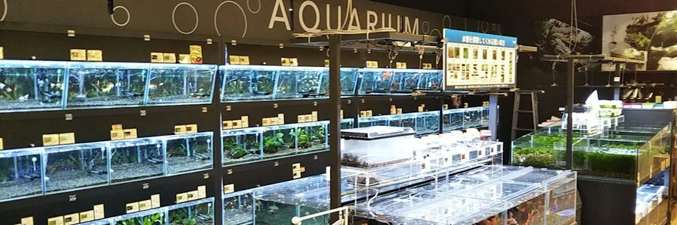 カインズ 浜松市野店 ドッグラン:公式サイト掲載写真